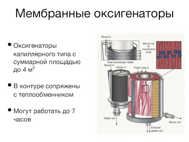 Мембранные оксигенаторы Оксигенаторы капиллярного типа с суммарной площадью до 4