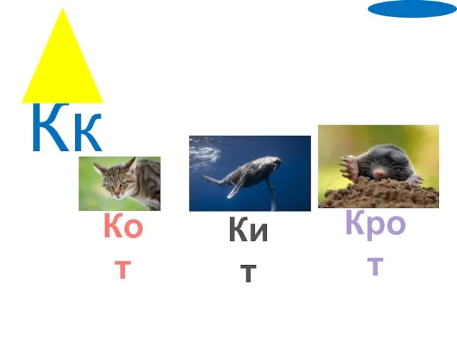 Кк Кот Кит Крот