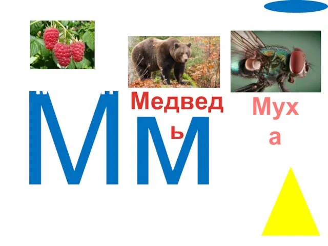 Мм Малина Медведь Муха