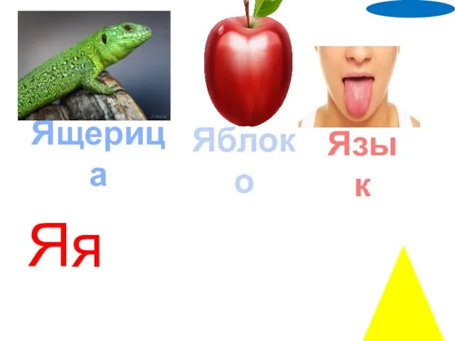 Яя Ящерица Яблоко Язык