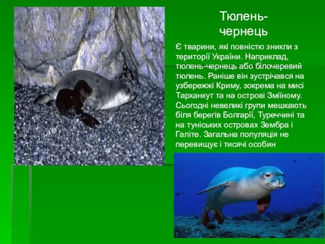 Є тварини, які повністю зникли з території України. Наприклад, тюлень-чернець
