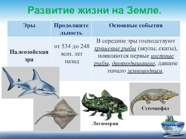 Развитие жизни на Земле. от 534 до 248 млн. лет