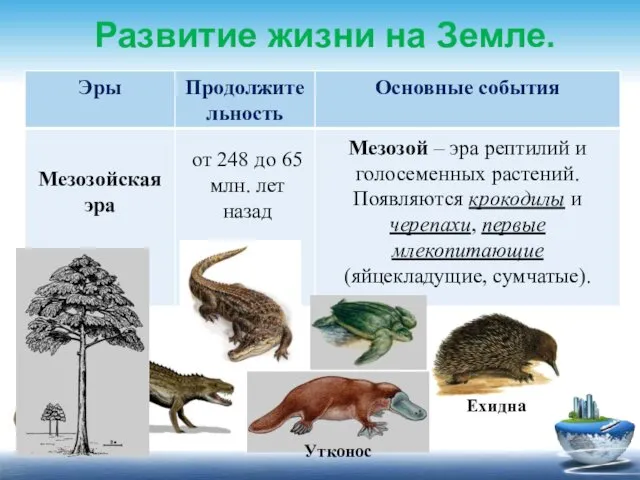 Развитие жизни на Земле. от 248 до 65 млн. лет