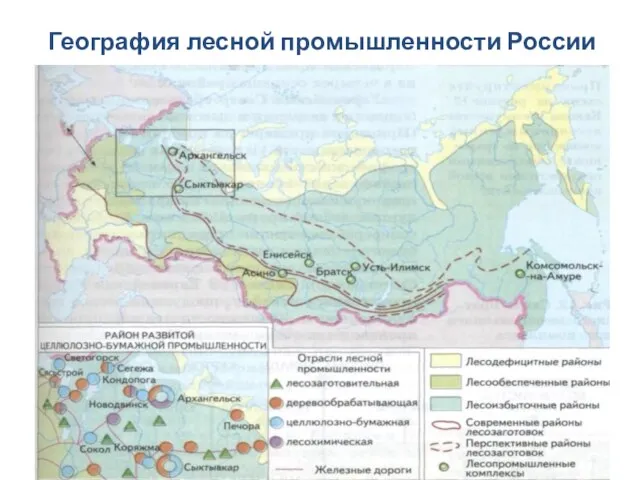 География лесной промышленности России
