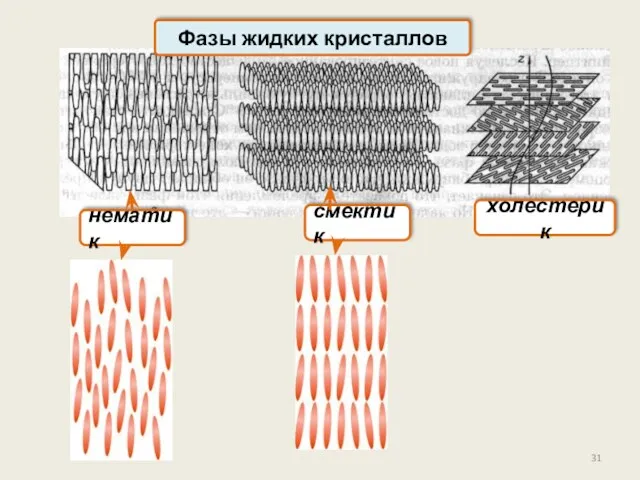 Фазы жидких кристаллов нематик смектик холестерик