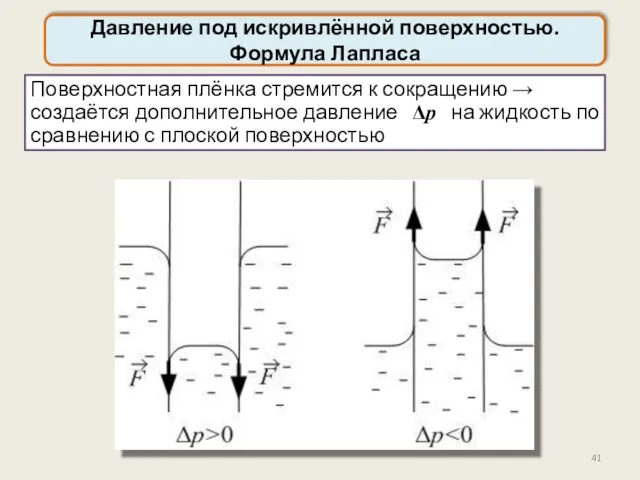 Давление под искривлённой поверхностью. Формула Лапласа Поверхностная плёнка стремится к