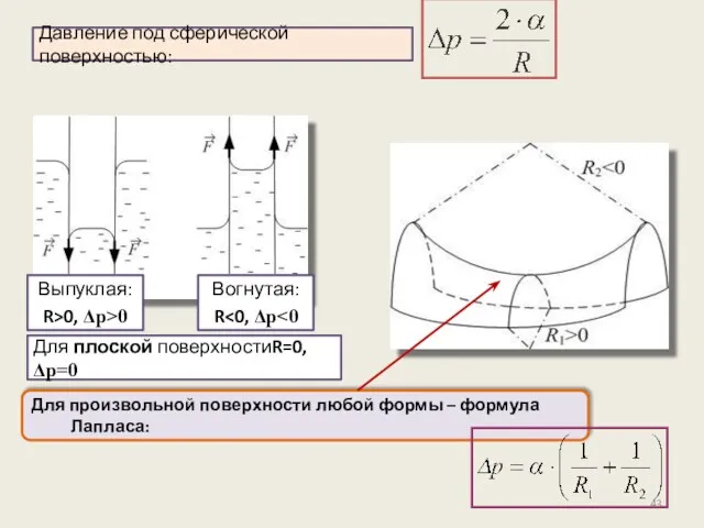 Для произвольной поверхности любой формы – формула Лапласа: Давление под