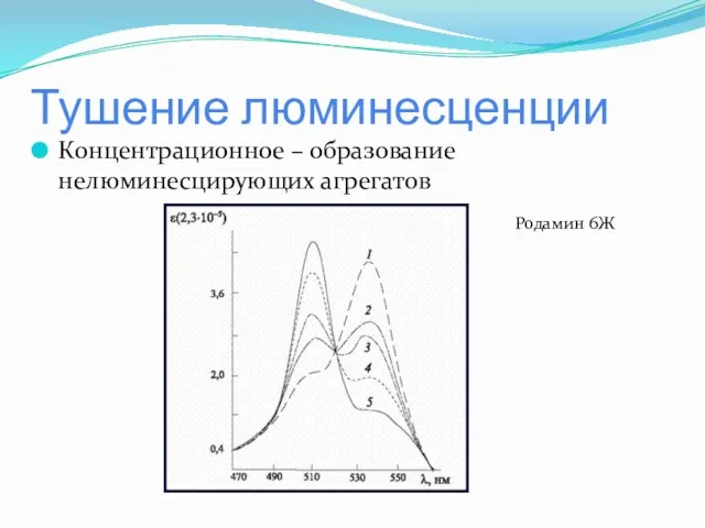 Тушение люминесценции Концентрационное – образование нелюминесцирующих агрегатов Родамин 6Ж