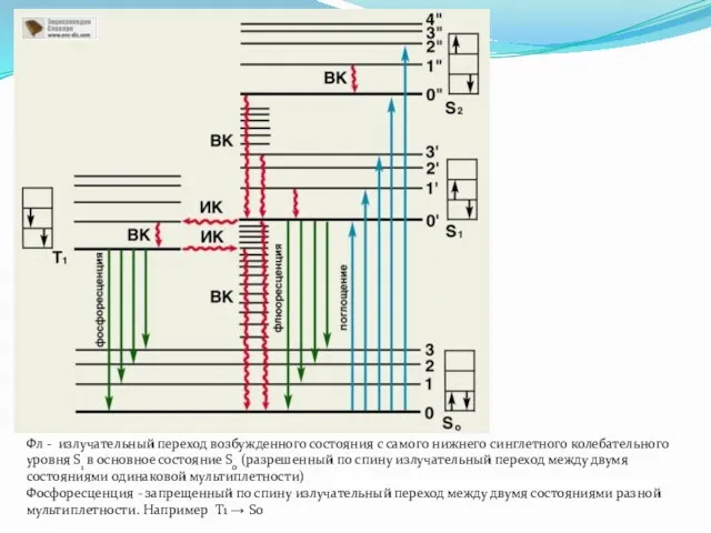 Фл - излучательный переход возбужденного состояния с самого нижнего синглетного