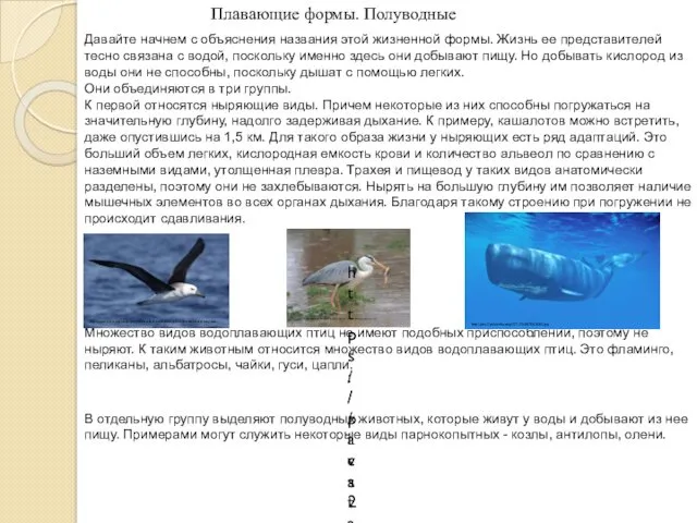 Плавающие формы. Полуводные Давайте начнем с объяснения названия этой жизненной