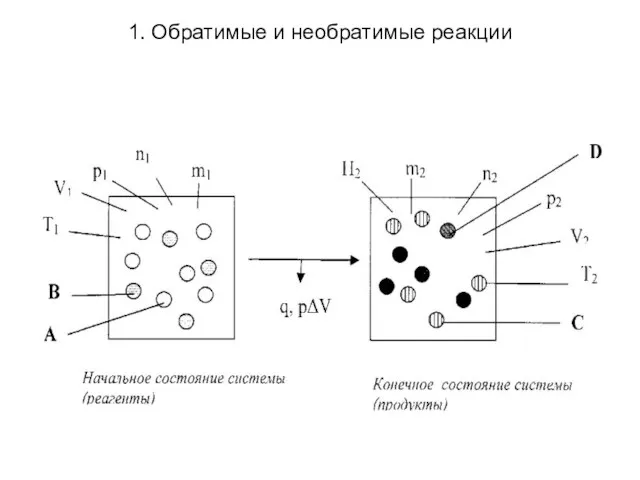 1. Обратимые и необратимые реакции