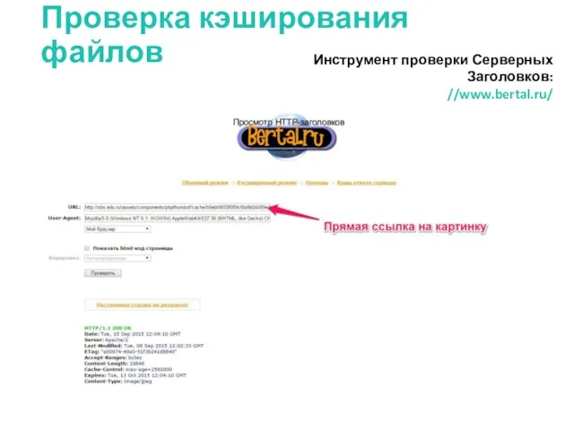 Проверка кэширования файлов Инструмент проверки Серверных Заголовков: //www.bertal.ru/