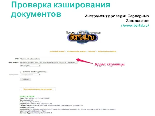 Проверка кэширования документов Инструмент проверки Серверных Заголовков: //www.bertal.ru/