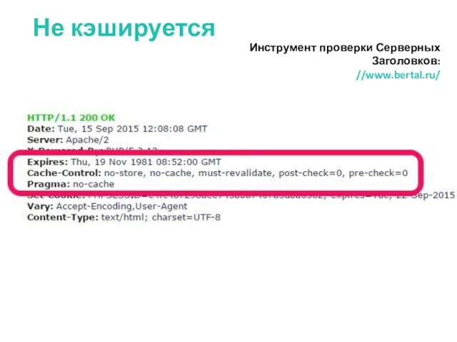 Не кэшируется Инструмент проверки Серверных Заголовков: //www.bertal.ru/