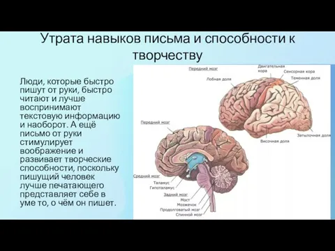 Утрата навыков письма и способности к творчеству Люди, которые быстро