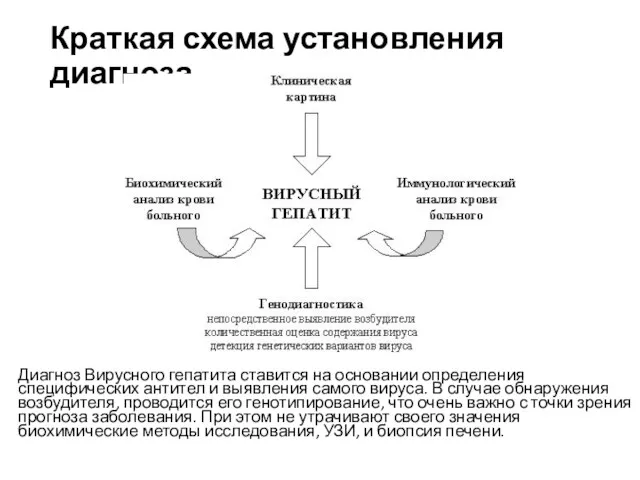 Краткая схема установления диагноза Диагноз Вирусного гепатита ставится на основании