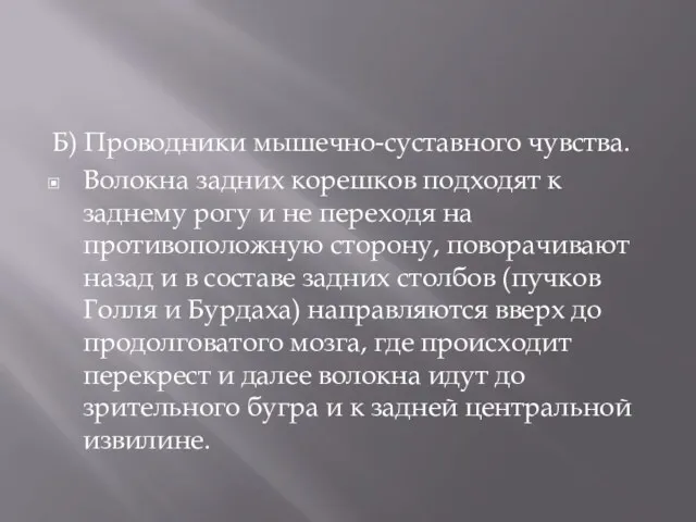 Б) Проводники мышечно-суставного чувства. Волокна задних корешков подходят к заднему