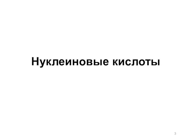 Нуклеиновые кислоты