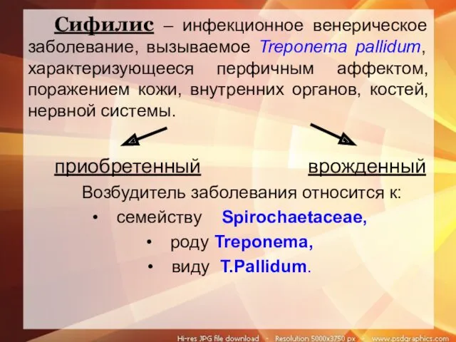 Сифилис – инфекционное венерическое заболевание, вызываемое Treponema pallidum, характеризующееся перфичным