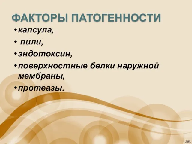 ФАКТОРЫ ПАТОГЕННОСТИ капсула, пили, эндотоксин, поверхностные белки наружной мембраны, протеазы.