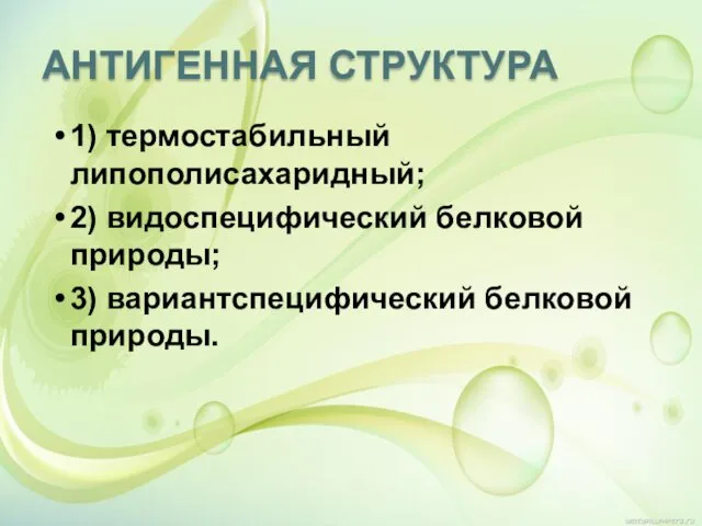 АНТИГЕННАЯ СТРУКТУРА 1) термостабильный липополисахаридный; 2) видоспецифический белковой природы; 3) вариантспецифический белковой природы.