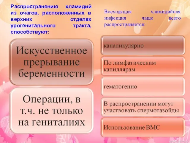 Распространению хламидий из очагов, расположенных в верхних отделах урогенитального тракта,