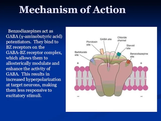 Mechanism of Action Benzodiazepines act as GABA (γ-aminobutyric acid) potentiators.