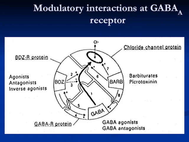 Modulatory interactions at GABAA receptor