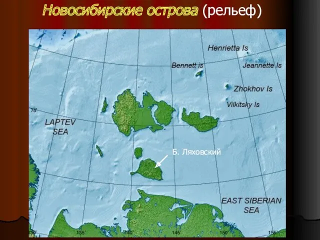 Новосибирские острова (рельеф)