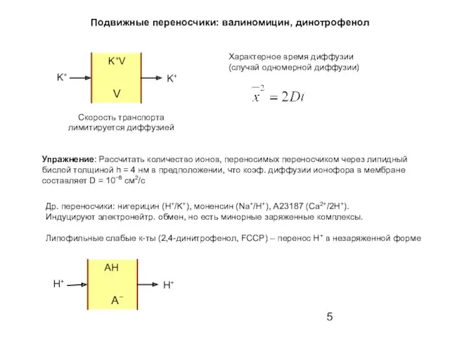 Др. переносчики: нигерицин (Н+/K+), моненсин (Na+/H+), А23187 (Са2+/2H+). Индуцируют электронейтр.