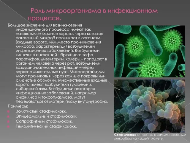 Роль микроорганизма в инфекционном процессе. Большое значение для возникновения инфекционного
