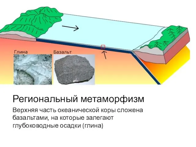 Региональный метаморфизм Верхняя часть океанической коры сложена базальтами, на которые залегают глубоководные осадки (глина)