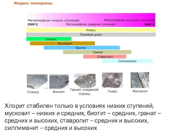 Хлорит стабилен только в условиях низких ступеней, мусковит – низких