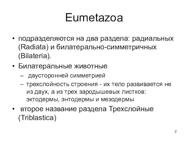 Eumetazoa подразделяются на два раздела: радиальных (Radiata) и билатерально-симметричных (Bilateria).
