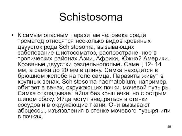 Schistosoma К самым опасным паразитам человека среди трематод относятся несколько видов кровяных двуусток
