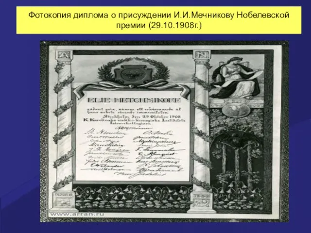 Фотокопия диплома о присуждении И.И.Мечникову Нобелевской премии (29.10.1908г.)