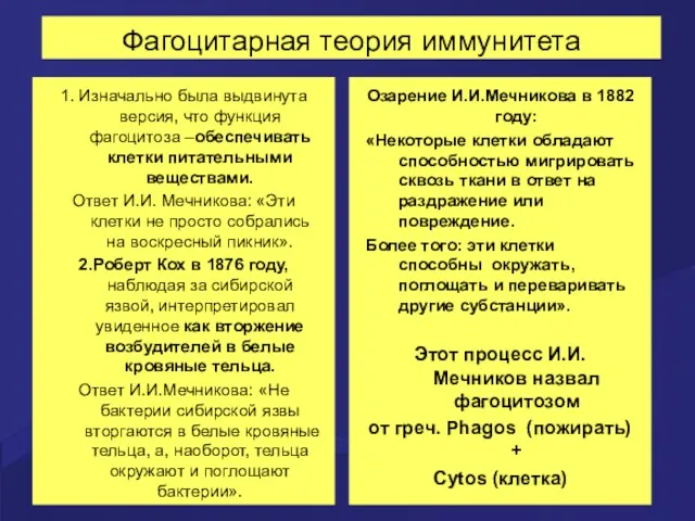 Фагоцитарная теория иммунитета 1. Изначально была выдвинута версия, что функция фагоцитоза –обеспечивать клетки