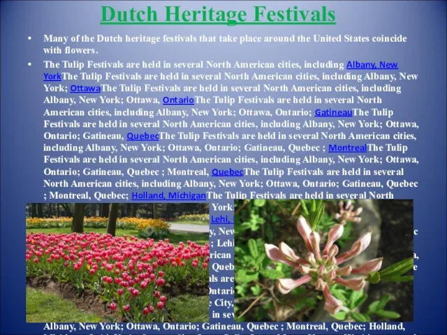 Dutch Heritage Festivals Many of the Dutch heritage festivals that take place around