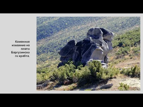 Каменное изваяние на плато Баргузинского хребта.