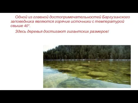 Одной из главной достопримечательностей Баргузинского заповедника являются горячие источники с