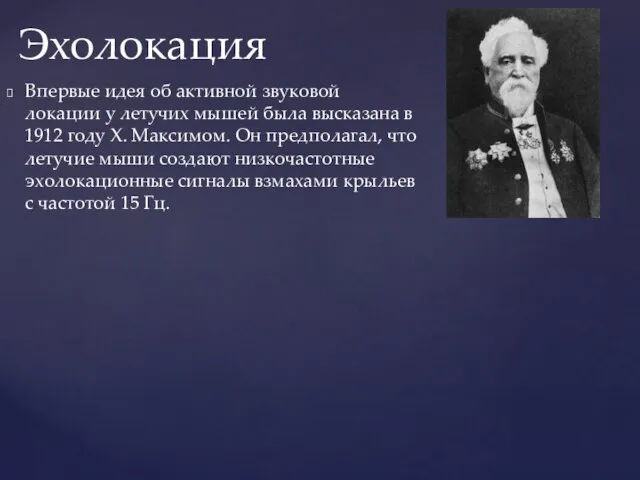 Впервые идея об активной звуковой локации у летучих мышей была высказана в 1912