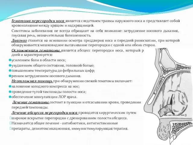 Гематома перегородки носа является следствием травмы наружного носа и представляет