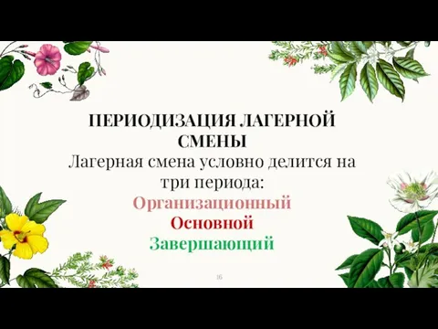 ПЕРИОДИЗАЦИЯ ЛАГЕРНОЙ СМЕНЫ Лагерная смена условно делится на три периода: Организационный Основной Завершающий