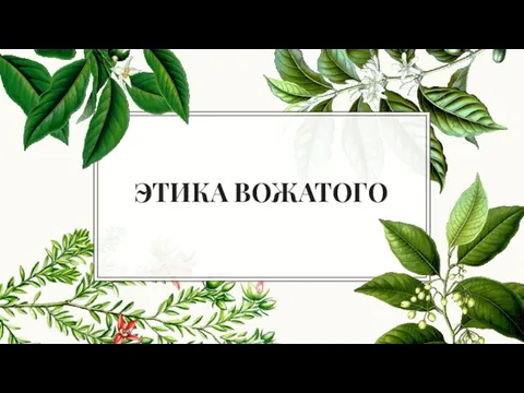 ЭТИКА ВОЖАТОГО