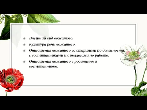 Внешний вид вожатого. Культура речи вожатого. Отношения вожатого со старшими