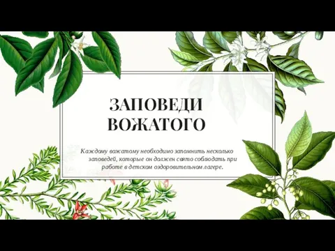 ЗАПОВЕДИ ВОЖАТОГО Каждому вожатому необходимо запомнить несколько заповедей, которые он