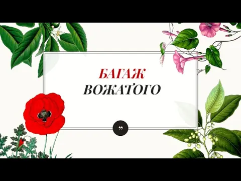 БАГАЖ ВОЖАТОГО