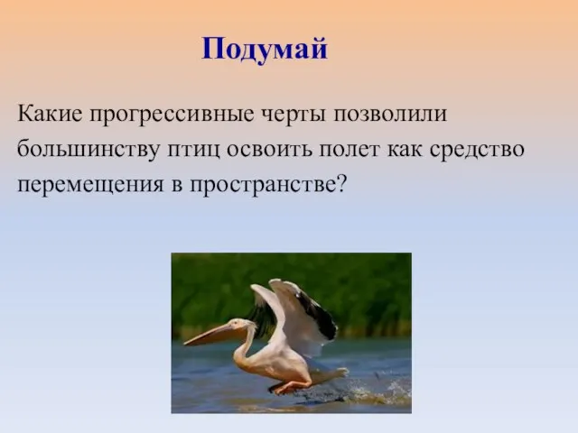 Какие прогрессивные черты позволили большинству птиц освоить полет как средство перемещения в пространстве? Подумай