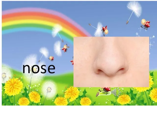 nose