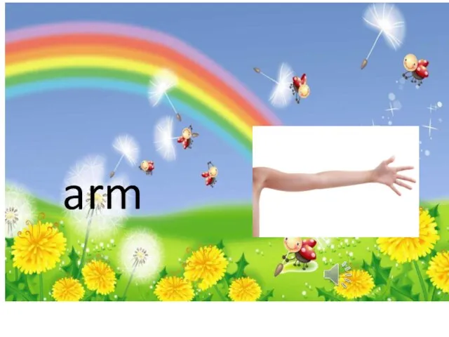 arm